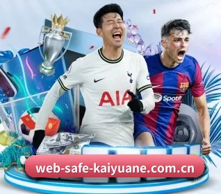 web-safe-kaiyuane.com.cn APP 界面